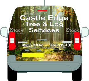 10815-A back Castle Edge Tree Services