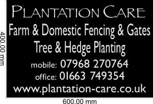 11154-A Plantation Care