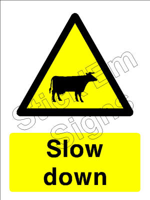 Cattle Slow down