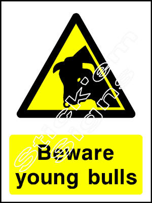 COUN0015 Beware young bulls