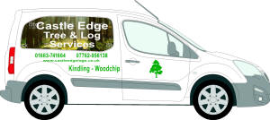 10815-A off side Castle Edge Tree Services