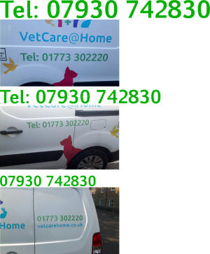 10921-A Vet Care Home