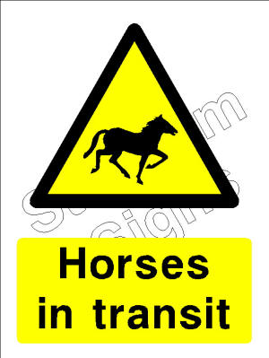 Horses in transit